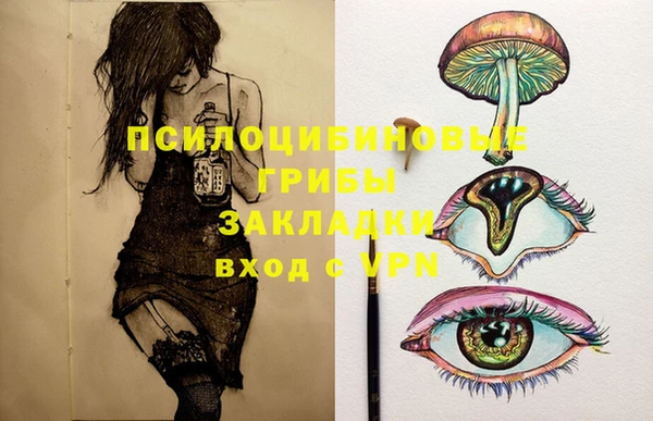 гидропоника Богородицк